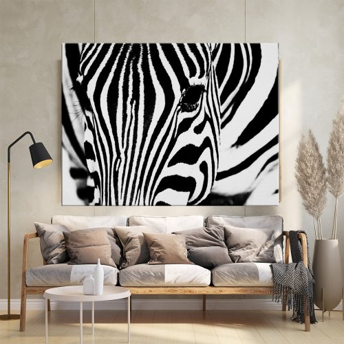 Zebra portrait black and white photo poster