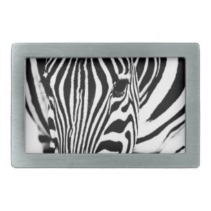 Zebra portrait black and white rectangular belt buckle