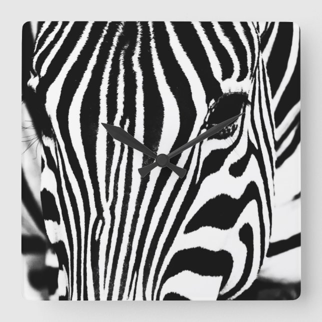 Zebra portrait black and white square wall clock (Front)