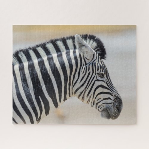 Zebra Portrait Wild Animal Nature African Jigsaw Puzzle