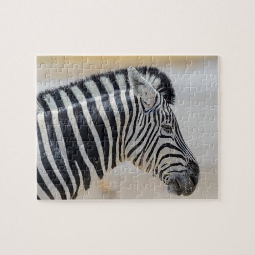 Zebra Portrait Wild Animal Nature African Jigsaw Puzzle