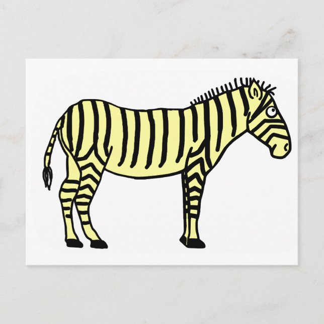 Zebra Postcard (Front)