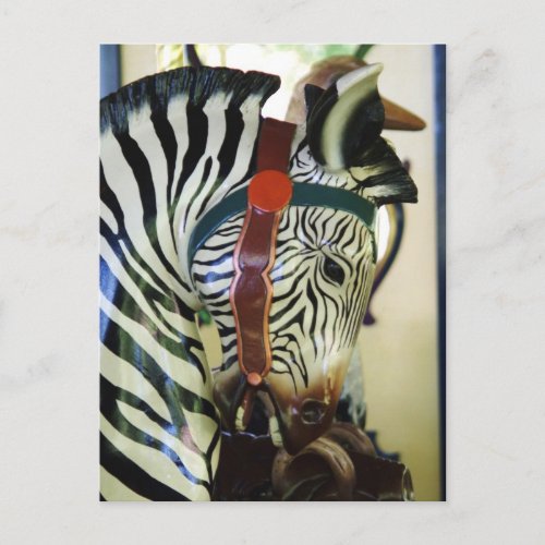 Zebra postcard