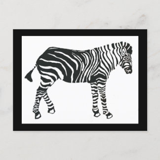 Zebra postcard
