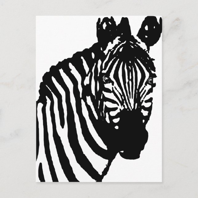 zebra. postcard (Front)