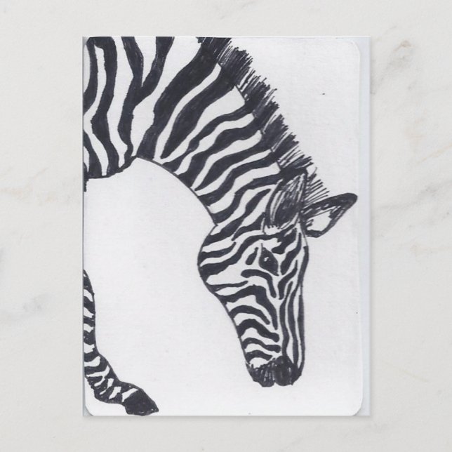 Zebra Postcard (Front)