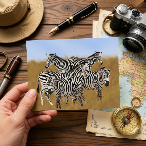 Zebra Postcard | African Wildlife Safari