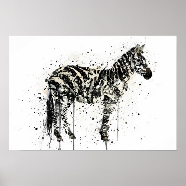  Zebra Poster (Front)
