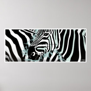 Zebra Poster
