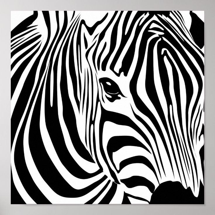 Zebra Poster | Zazzle