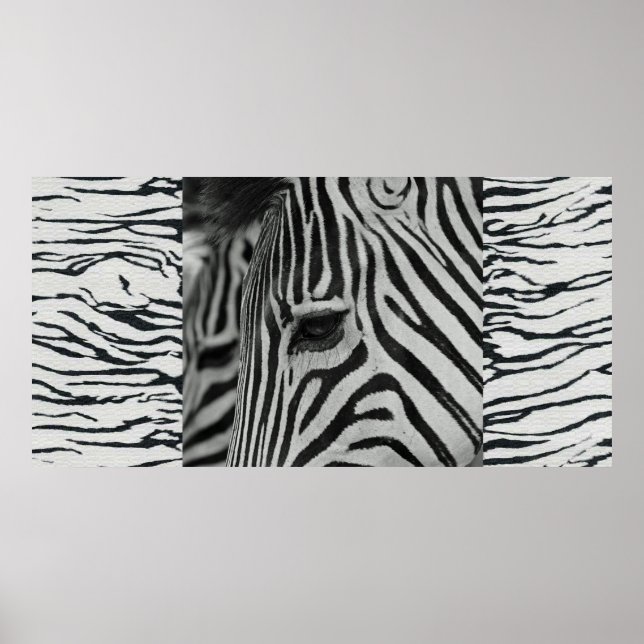 Zebra Poster Artwork Wall Mural (Front)