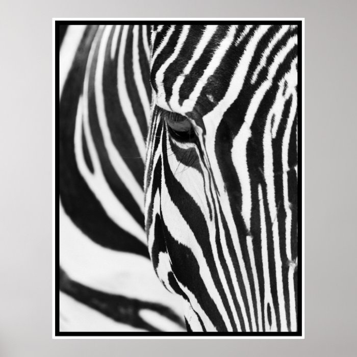 Zebra Print