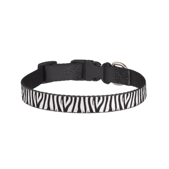 Zebra Print Dog Collar (Front)