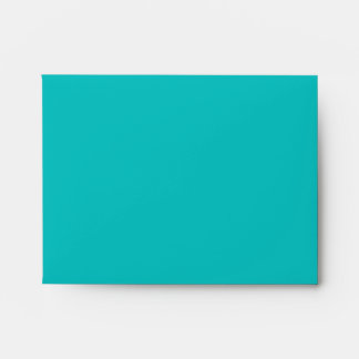Zebra Print Invitation or Card Envelope