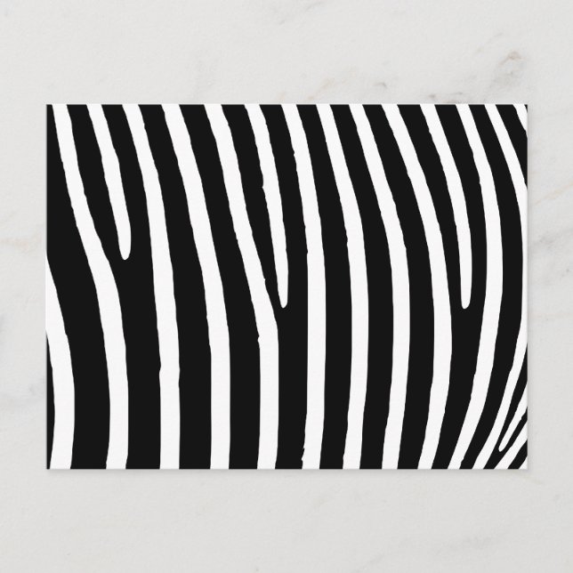 Zebra Print Postcard (Front)