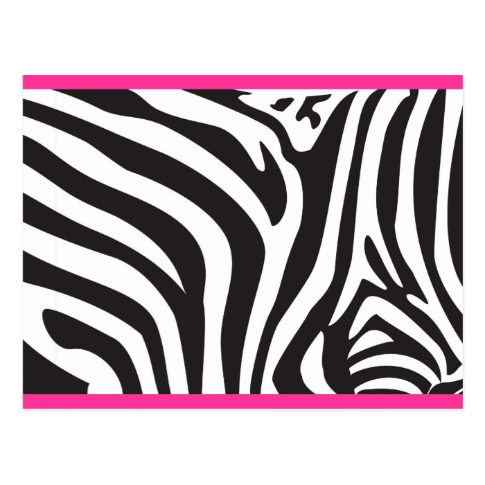 Zebra Print Postcards