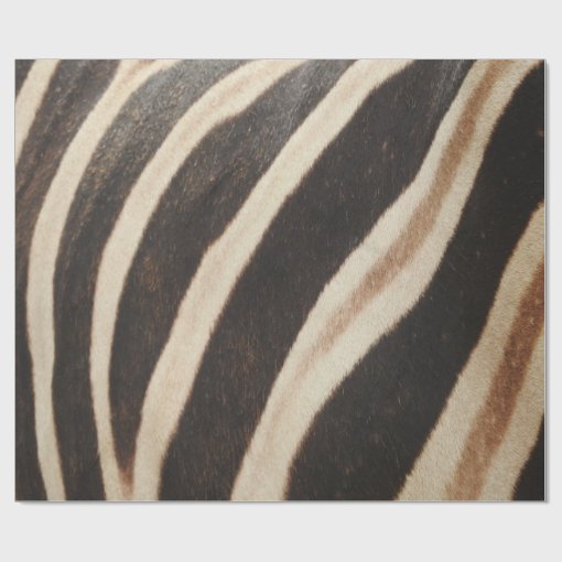 Zebra Print Wrapping Paper Zazzle