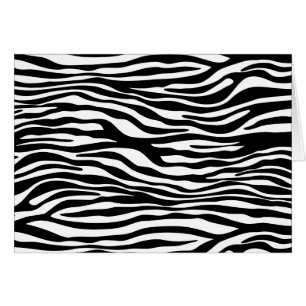 Zebra Print, Zebra Stripes, Black And White