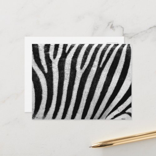 Zebra Print Zebra Stripes Black And White Postcard