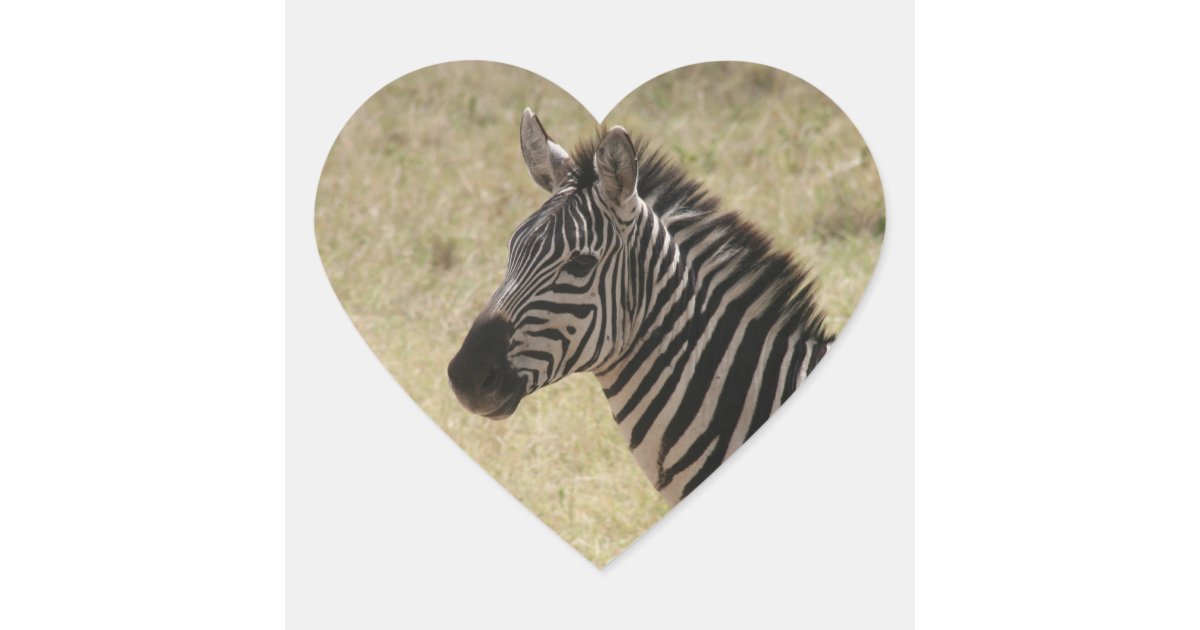 zebra profile heart sticker | Zazzle