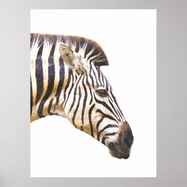 Zebra profile jungle animal portrait poster (Front)