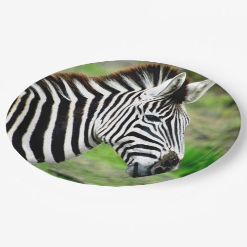 Zebra Profile Paper Plates