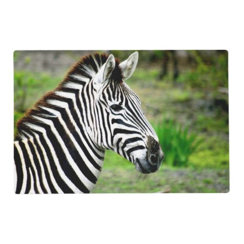 Zebra Profile Placemat