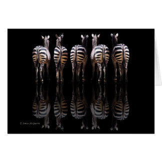 Zebra Reflections Cards