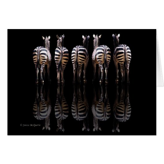 Zebra Reflections Cards (Front Horizontal)