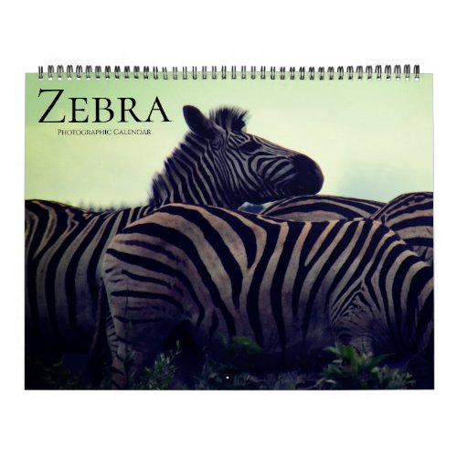 zebra safari 2025 large calendar