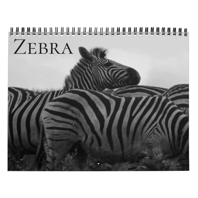 zebra safari 2027 calendar (Cover)