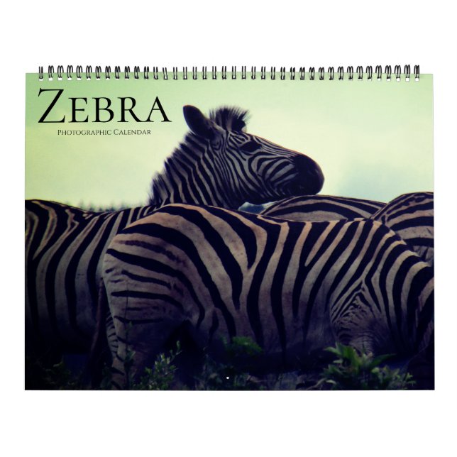 zebra safari 2027 large calendar (Cover)