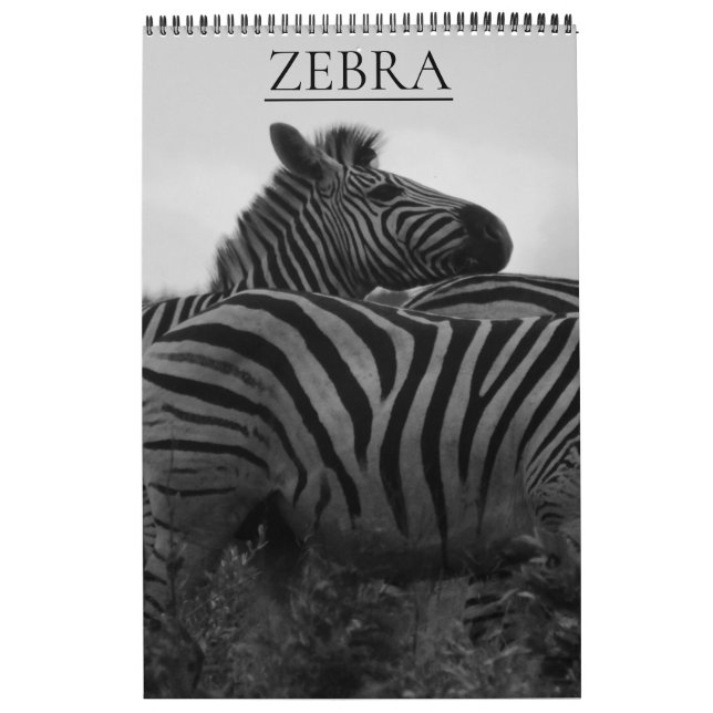 zebra safari calendar (Cover)