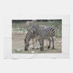 Zebra Safari Cute African Classy Stripes Towel