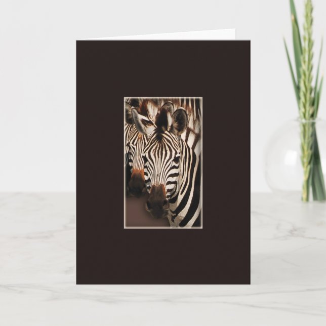 Zebra safari greeting cards (Front)