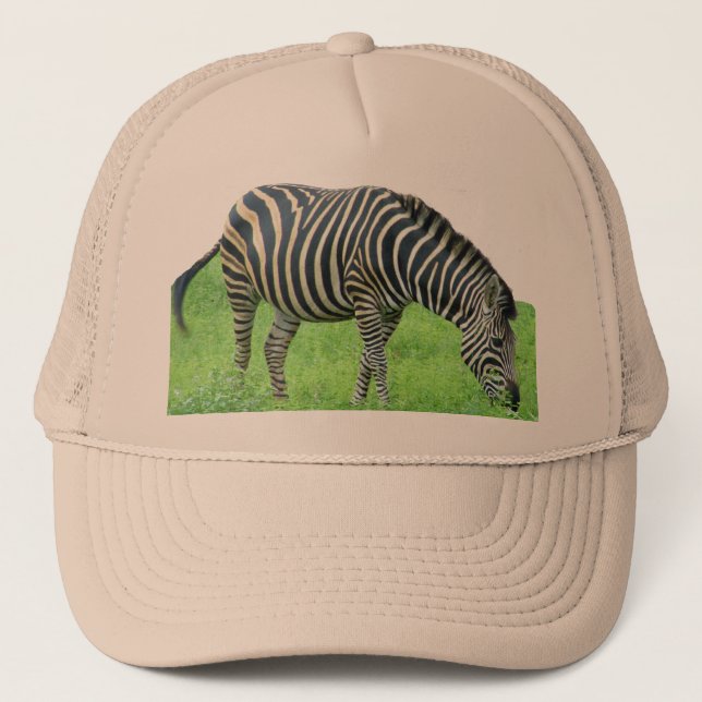 Zebra Safari Hat (Front)