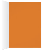 Zebra-Safari in Africa (Inside (Right))