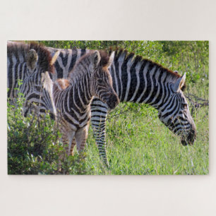 zebra safari jigsaw puzzle