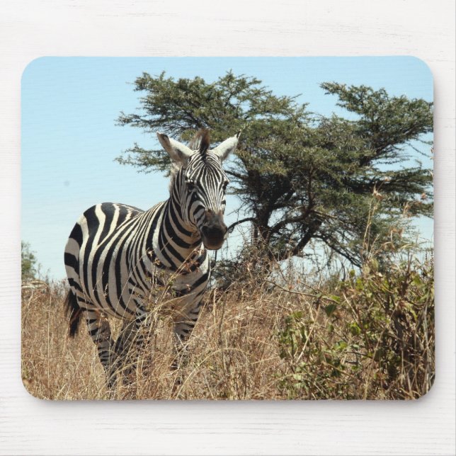 zebra scene mouse pad (Front)