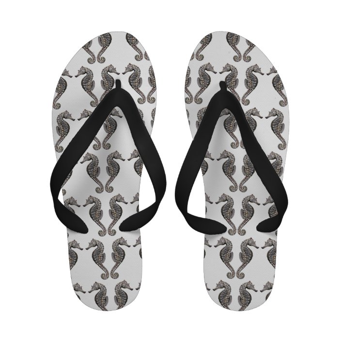 Zebra Seahorse Aquatic Animals Sandals