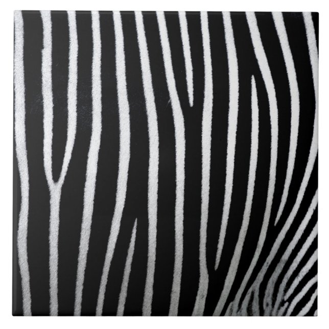 Zebra Skin Ceramic Tile (Front)