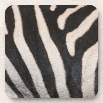 Zebra Skin Coaster by CNelson01 at Zazzle