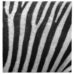 Zebra Skin Napkin