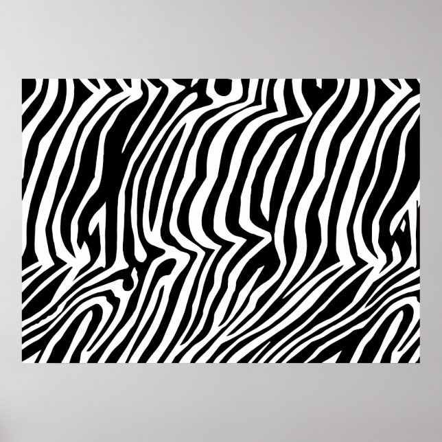 Zebra  skin pattern poster (Front)
