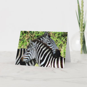 zebra snuggles card