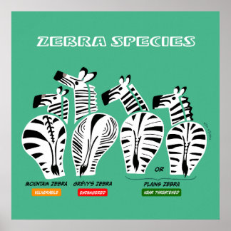 Zebra Species Art Poster