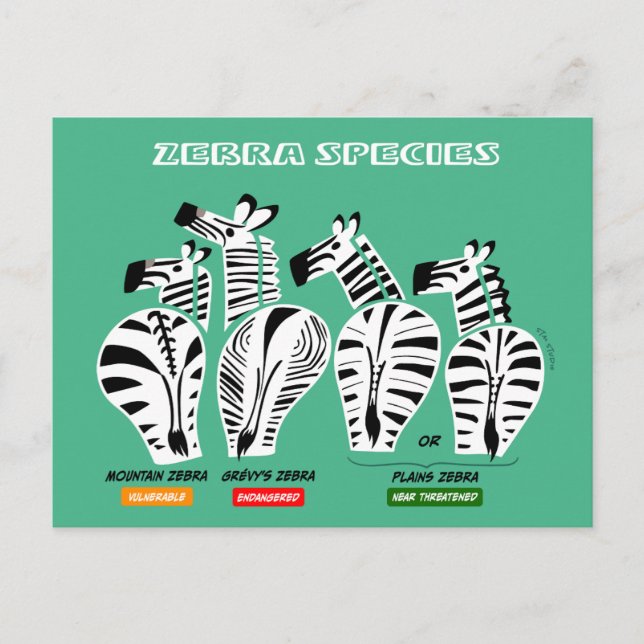 Zebra Species Postcard (Front)