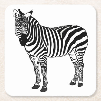 Zebra Drink & Beverage Coasters | Zazzle