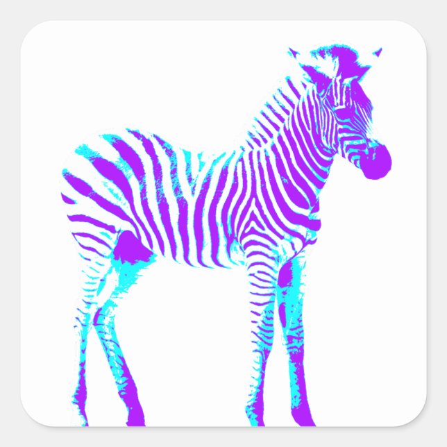  Zebra Square Sticker (Front)