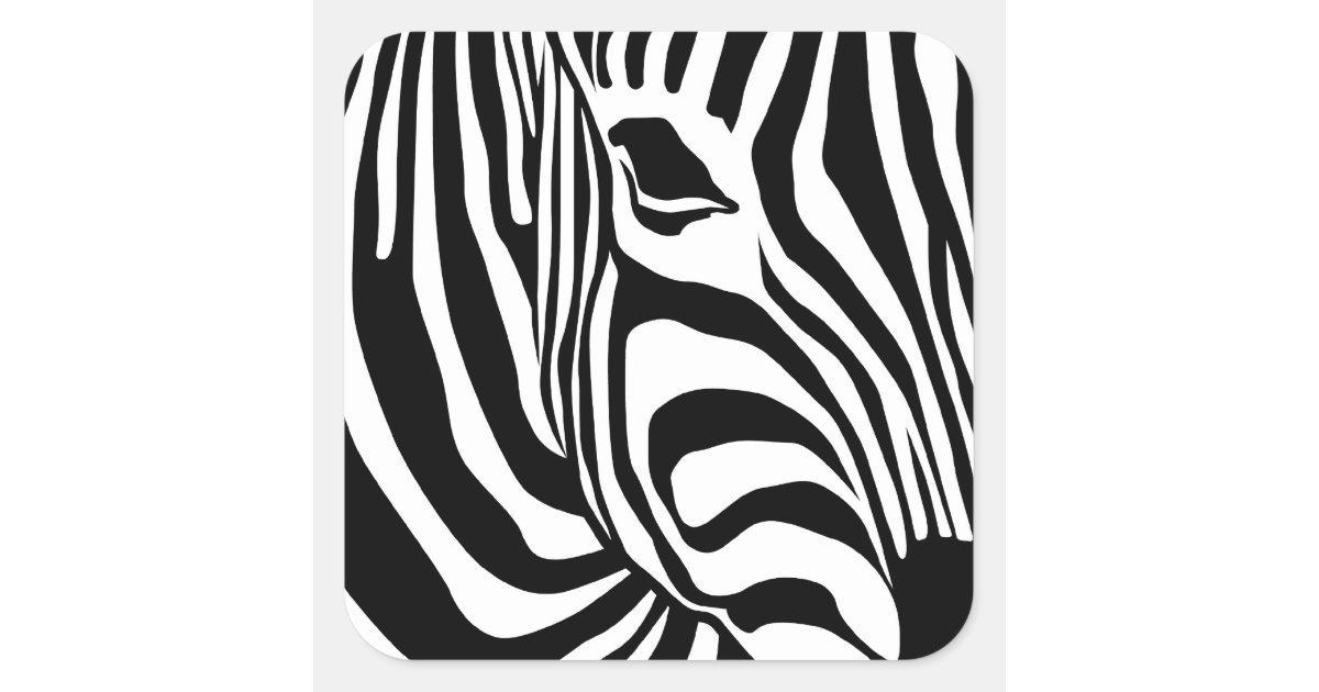 Zebra Square Sticker | Zazzle